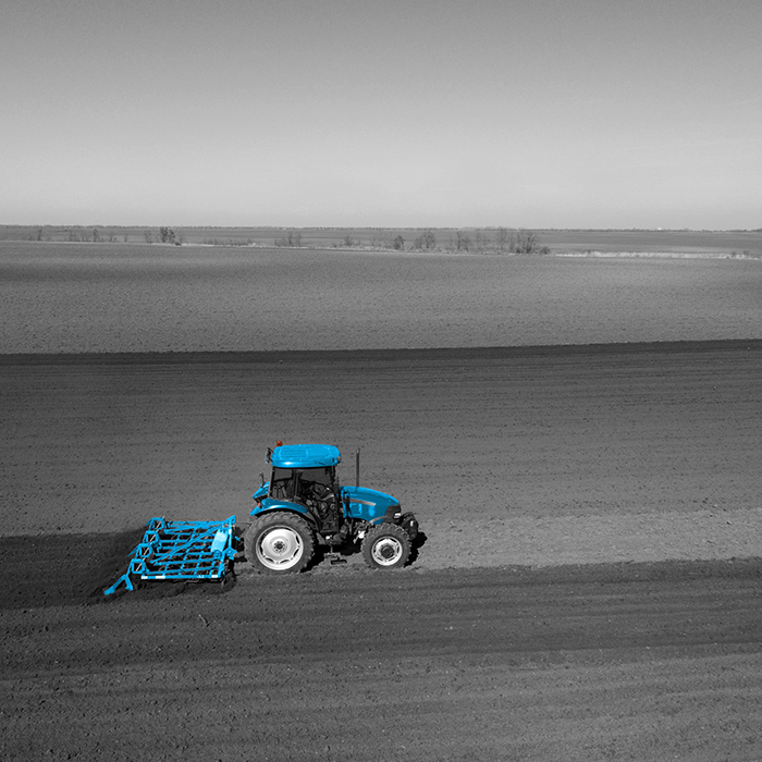 Die sprinkane van 2025 – hoe bedrieërs jou oes wil steel